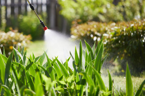 24/7 Emergency Wasp Removal experts in Wolf Creek, UT