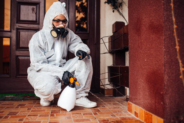Reliable Wasp Removal contractor in Wolf Creek, UT by Show Me Pest Control